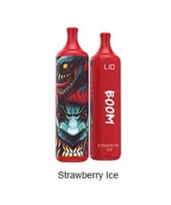 Lio Boom Pod 1 Lan Dau Tay Lanh