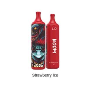 Lio Boom Pod 1 Lan Dau Tay Lanh