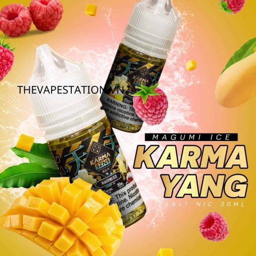 SALT NIC KARMA MAGUMI ICE 30ML KEO XOAI MAM XOI LANH