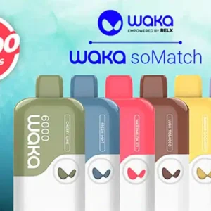 waja 2a021762ec6e445da646358cd03031ee