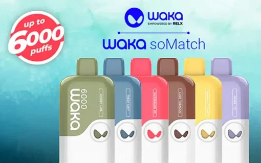 waja 2a021762ec6e445da646358cd03031ee