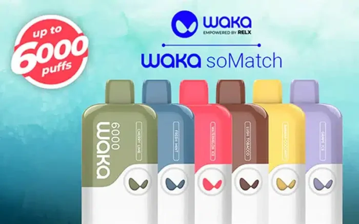 waja 2a021762ec6e445da646358cd03031ee
